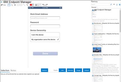 IBM Endpoint Manager - Flamory bookmarks and screenshots