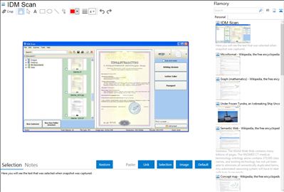 IDM Scan - Flamory bookmarks and screenshots