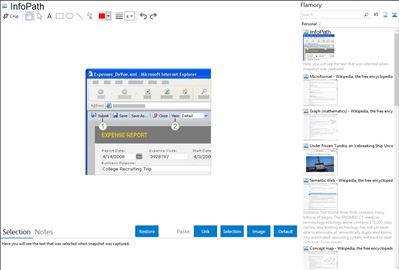 InfoPath - Flamory bookmarks and screenshots