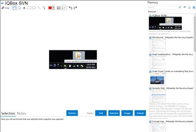 IQBox SVN - Flamory bookmarks and screenshots