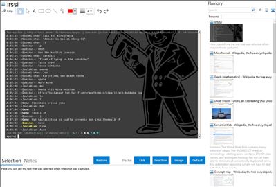 irssi - Flamory bookmarks and screenshots