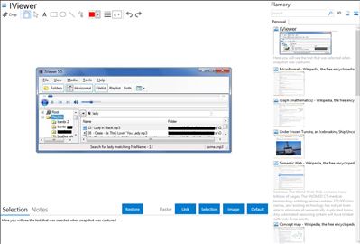 IViewer - Flamory bookmarks and screenshots