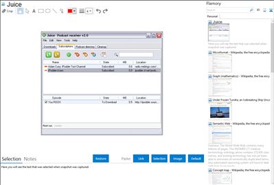 Juice - Flamory bookmarks and screenshots