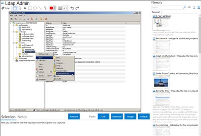 Ldap Admin - Flamory bookmarks and screenshots