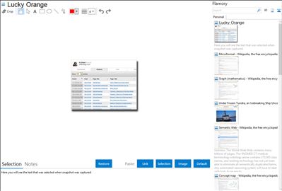 Lucky Orange - Flamory bookmarks and screenshots