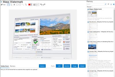 Mass Watermark - Flamory bookmarks and screenshots