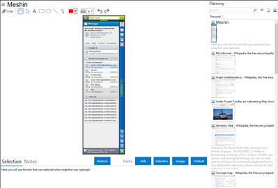 Meshin - Flamory bookmarks and screenshots