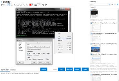 mintty - Flamory bookmarks and screenshots
