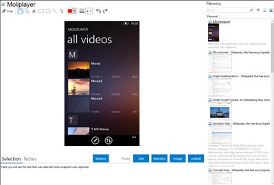 Moliplayer - Flamory bookmarks and screenshots