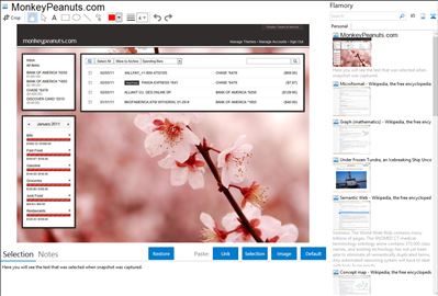 MonkeyPeanuts.com - Flamory bookmarks and screenshots