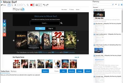 Movie Surf - Flamory bookmarks and screenshots