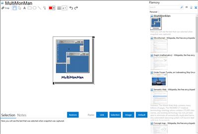 MultiMonMan - Flamory bookmarks and screenshots