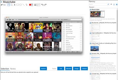 Musictube - Flamory bookmarks and screenshots