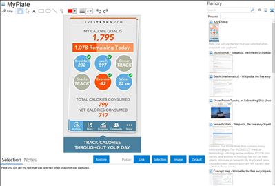 MyPlate - Flamory bookmarks and screenshots