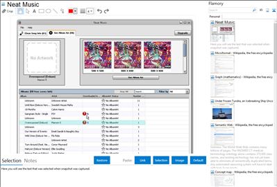Neat Music - Flamory bookmarks and screenshots
