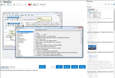NeoDic - Flamory bookmarks and screenshots