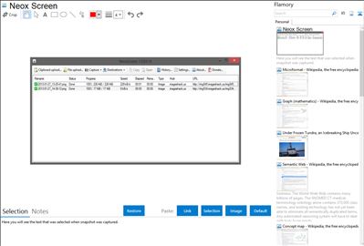 Neox Screen - Flamory bookmarks and screenshots