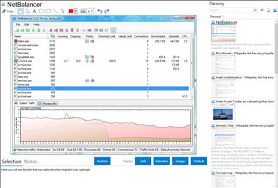 NetBalancer - Flamory bookmarks and screenshots