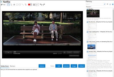 Netflix - Flamory bookmarks and screenshots