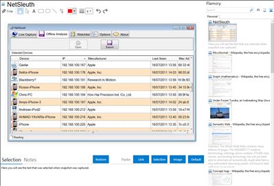 NetSleuth - Flamory bookmarks and screenshots