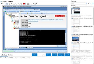 Netsparker - Flamory bookmarks and screenshots
