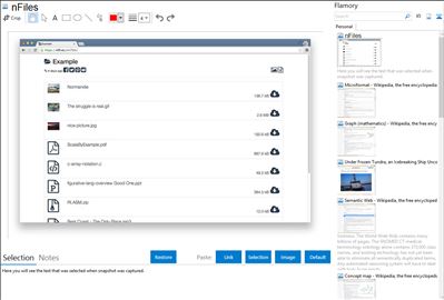 nFiles - Flamory bookmarks and screenshots