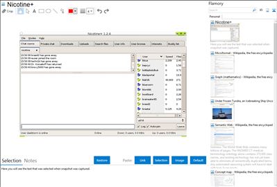 Nicotine+ - Flamory bookmarks and screenshots