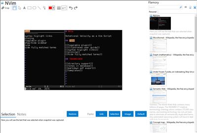 NVim - Flamory bookmarks and screenshots