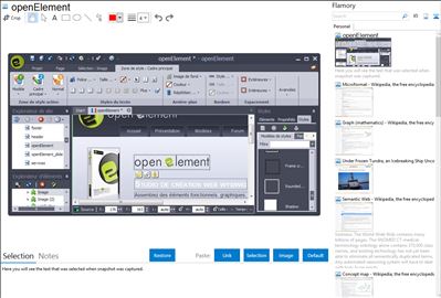 openElement - Flamory bookmarks and screenshots