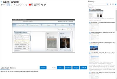 OpenPandora - Flamory bookmarks and screenshots
