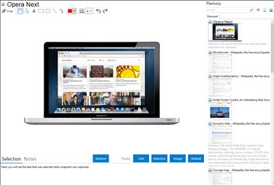 Opera Next - Flamory bookmarks and screenshots