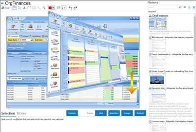 OrgFinances - Flamory bookmarks and screenshots