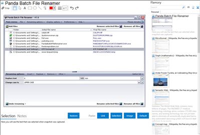 Panda Batch File Renamer - Flamory bookmarks and screenshots