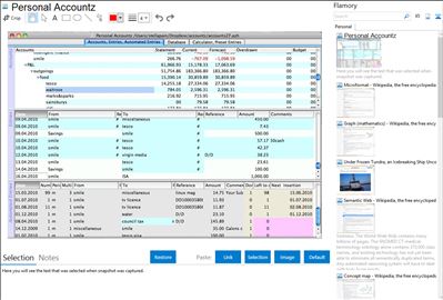 Personal Accountz - Flamory bookmarks and screenshots