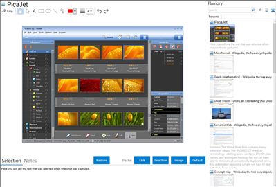 PicaJet - Flamory bookmarks and screenshots