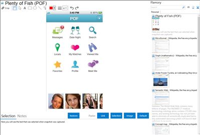 Plenty of Fish (POF) - Flamory bookmarks and screenshots