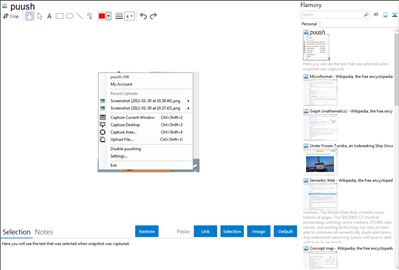puush - Flamory bookmarks and screenshots