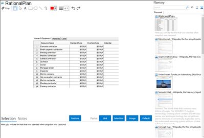 RationalPlan - Flamory bookmarks and screenshots