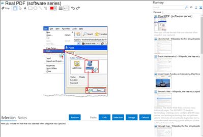 Real PDF (software series) - Flamory bookmarks and screenshots