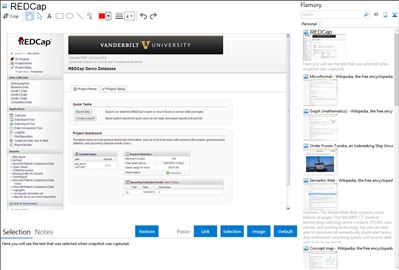 REDCap - Flamory bookmarks and screenshots