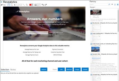Revealytics - Flamory bookmarks and screenshots