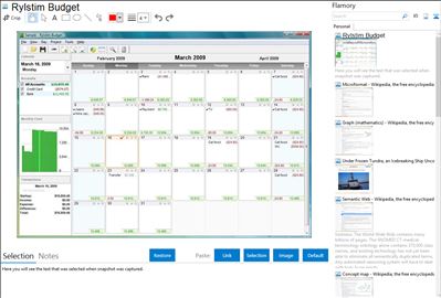 Rylstim Budget - Flamory bookmarks and screenshots