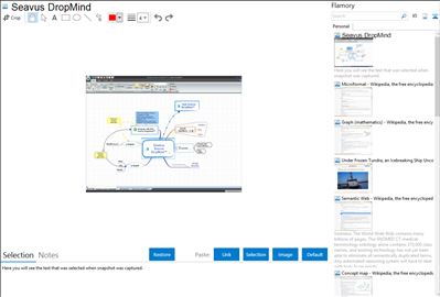 Seavus DropMind - Flamory bookmarks and screenshots