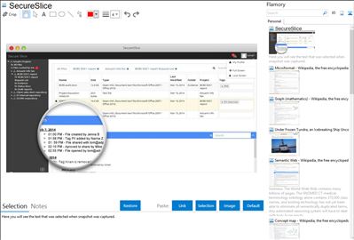 SecureSlice - Flamory bookmarks and screenshots