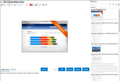 SEORankMonitor - Flamory bookmarks and screenshots