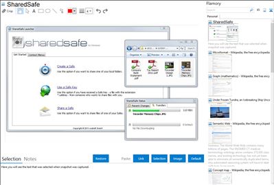 SharedSafe - Flamory bookmarks and screenshots