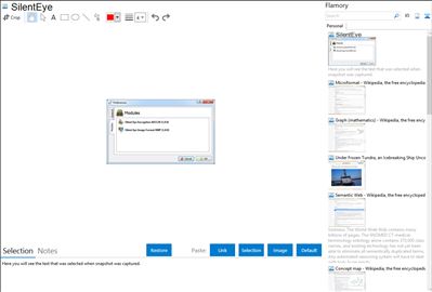 SilentEye - Flamory bookmarks and screenshots