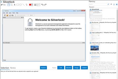 Silverlock - Flamory bookmarks and screenshots