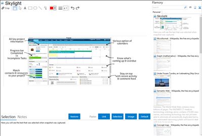 Skylight - Flamory bookmarks and screenshots