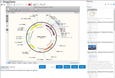 SnapGene - Flamory bookmarks and screenshots